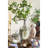 Rounded Clear Glass Vase