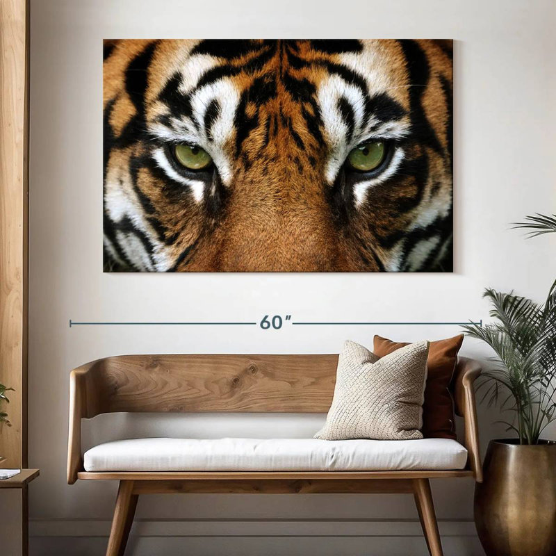 Gaze Of A Tiger, 34" H x 51" W