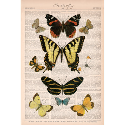 Papillons américains I