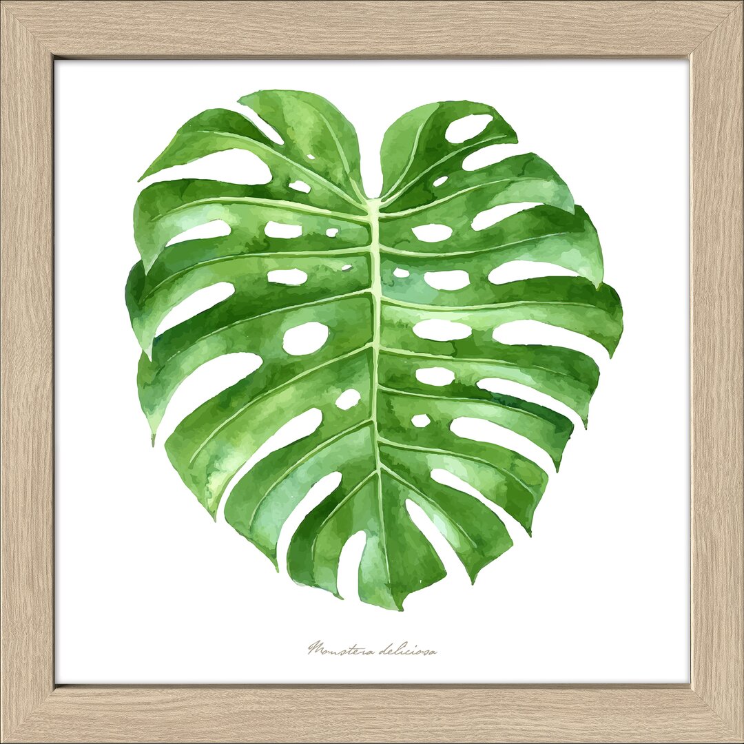 Gerahmtes Poster Green Leaf