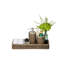 Plateau de coiffeuse Everard-1329532863