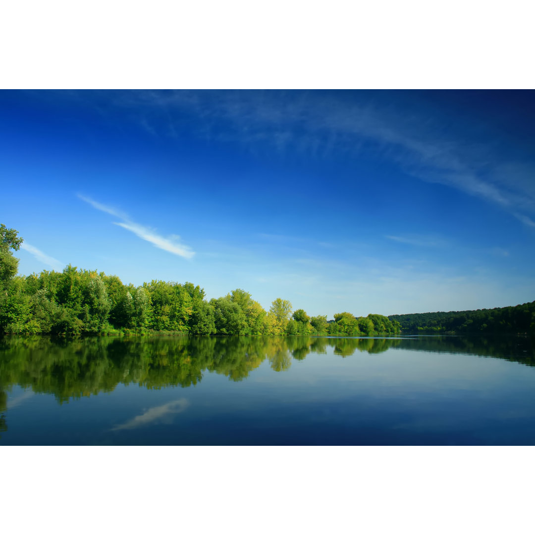 Forest Lake von Da-kuk - Kunstdrucke auf Leinwand ohne Rahmen