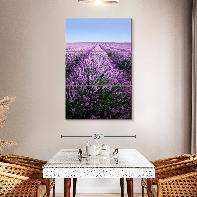 Lavande française Alvord Provence