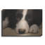 «Border Collie Love» par John Silver-1730437599