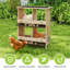 Egg Boxes & Baskets