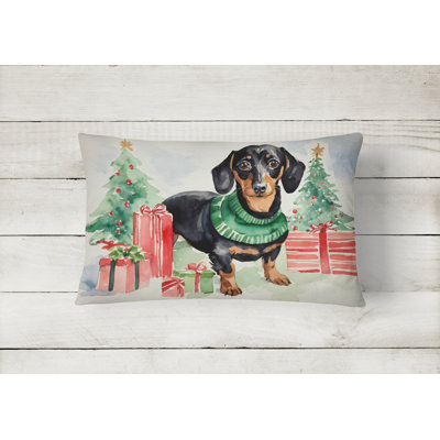  Other/No Pattern Polyester Indoor/Outdoor Throw Pillow