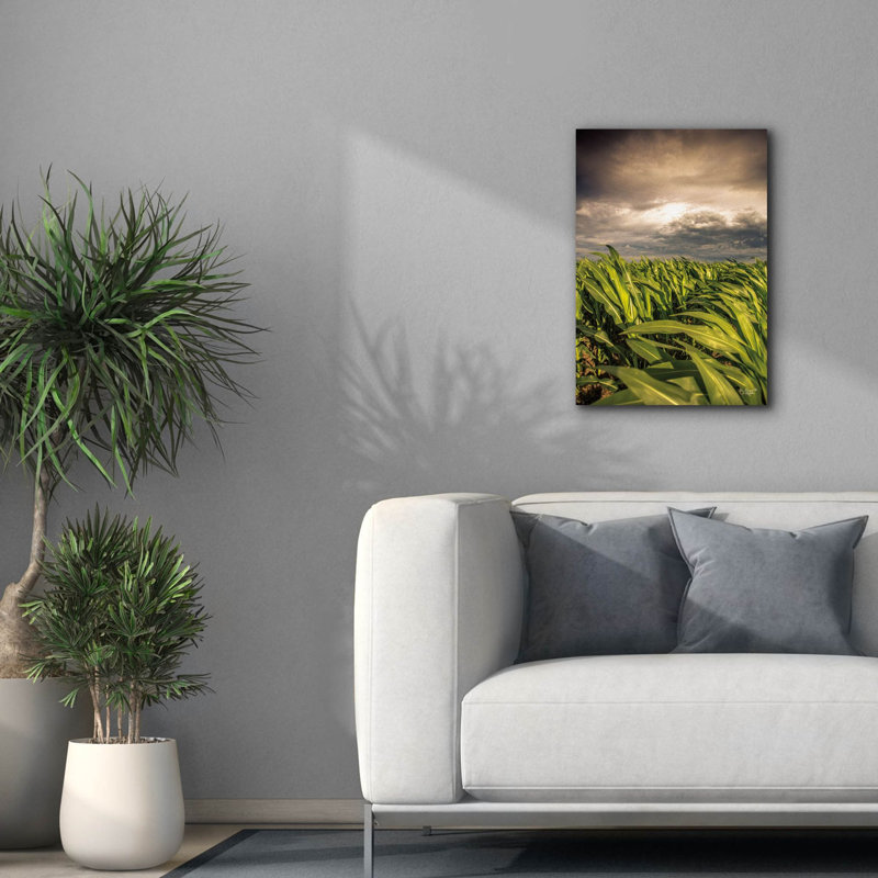 «Field of corn» par Donnie Quillen, impression sur toile tendue