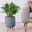 Concrete Effect Cylinder Round Planter on Hardwood Legs, Round Indoor Plant Pot Stand for Indoor Plants, Indoor Flower Pot with Ribbed Pattern-529439269-529439273