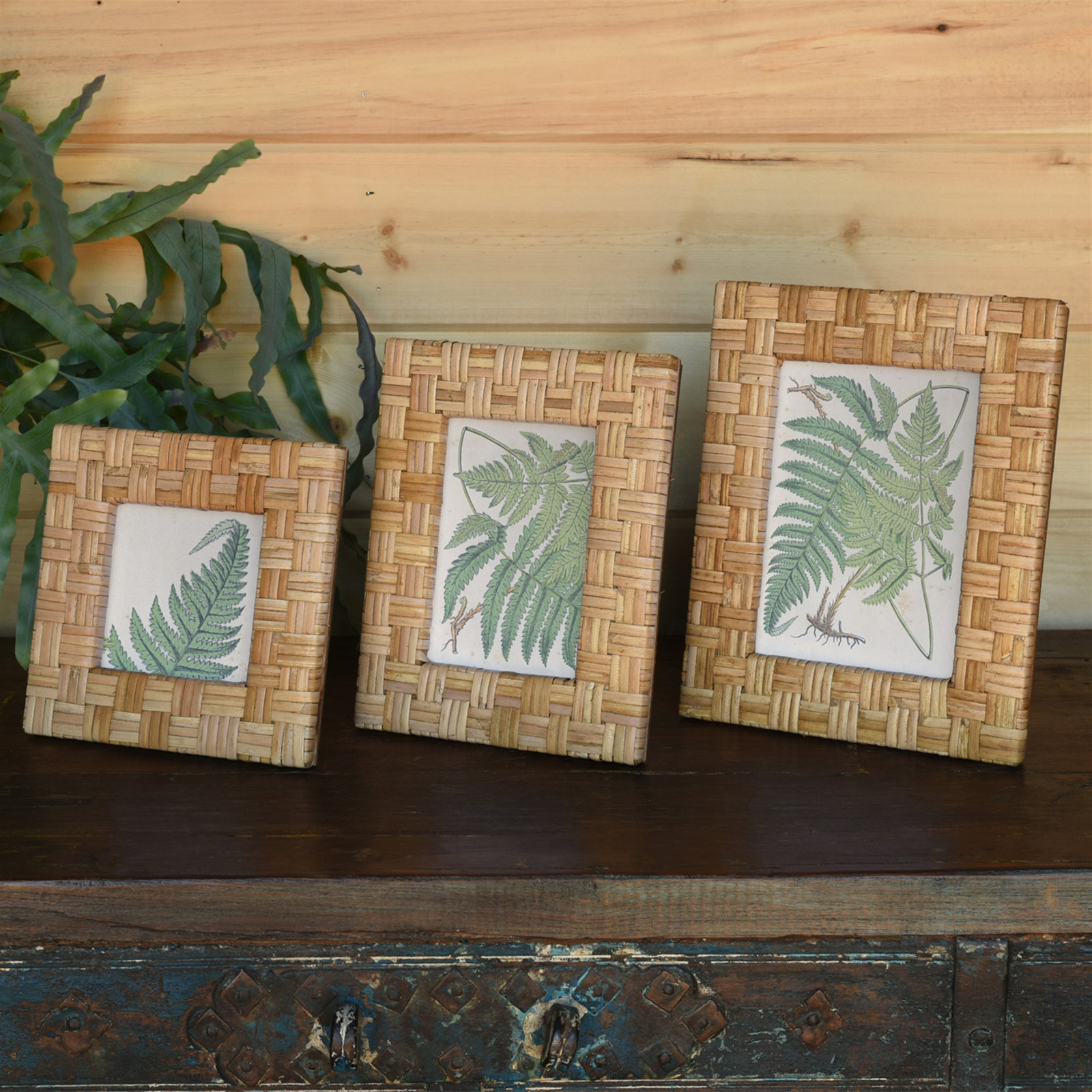 Alodee Natural Wicker / Rattan Picture Frame with Mat, 4" x 6"