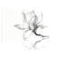 «Magnolia Magnolia Flower», ensemble de 3 reproductions d'art sur toile-737427337