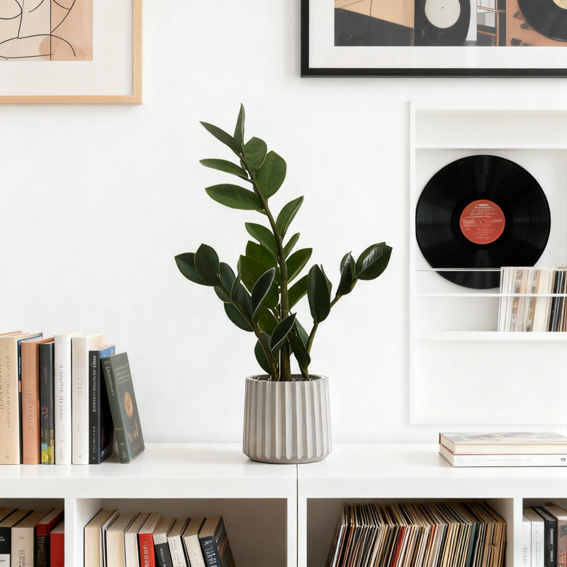 20 po de hauteur plante artificielle Zz en pot de ciment gris, plante décorative d'intérieur avec effet de verdure