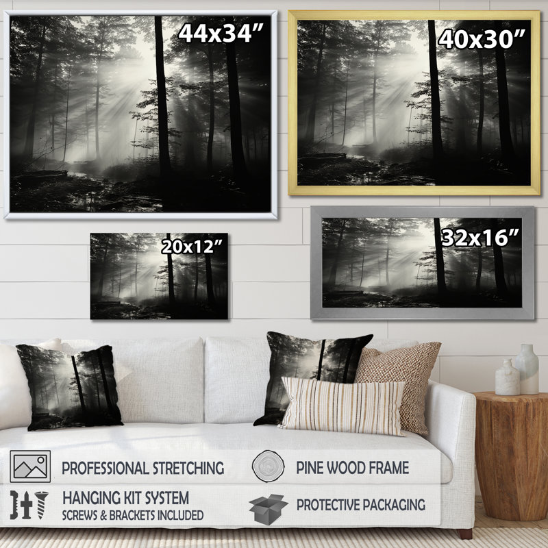 «Black and White Forest Silence», photographie encadrée, 34" H x 44" W, Cadre flottant noir