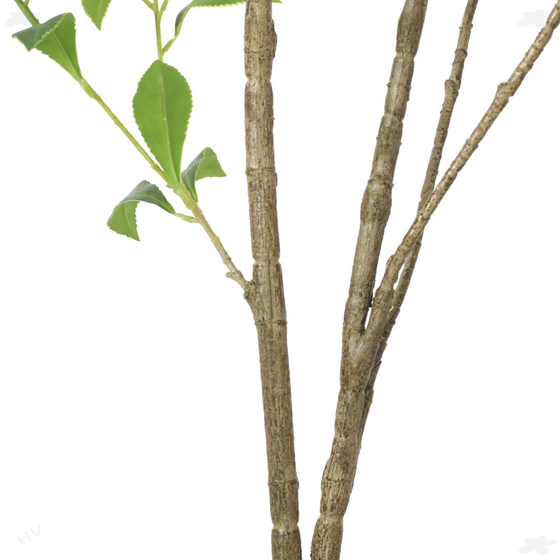 59.1'' Faux Bonsai Tree