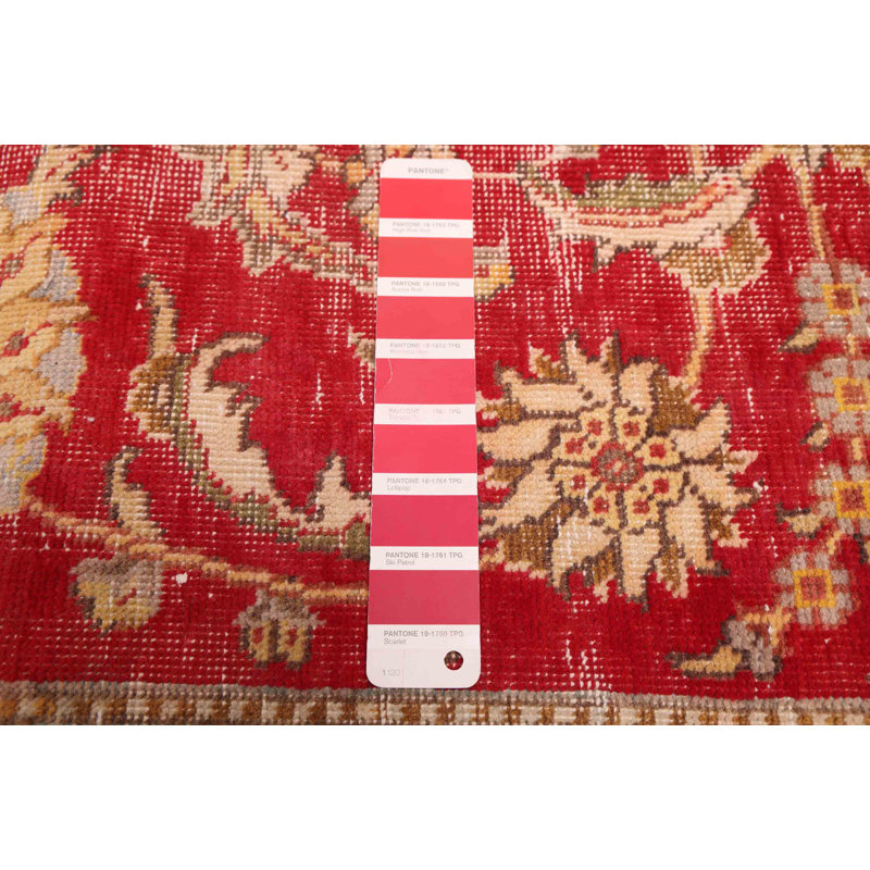 Tapis rouge Antalya 8 pi 8 po x 11 pi 4 po
