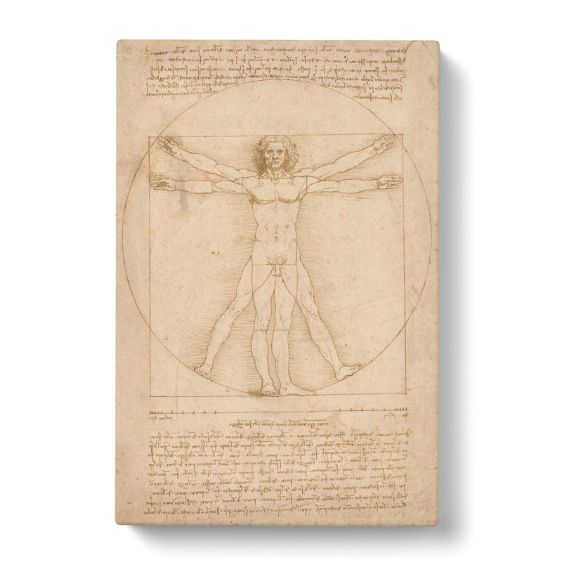 Vitruvian Man Vol.2 by Leonardo Da Vinci - Wrapped Canvas Painting, 76cm H x 50cm W x 3cm D