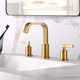 Widespread Bathroom Faucet with Drain Assembly