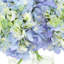 Hydrangeas Arranged in a Glass Vase-2028268416