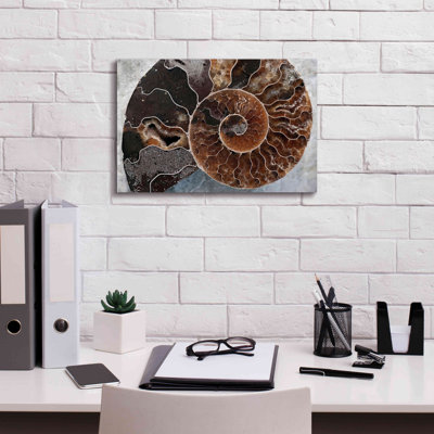 Ammonite Spiral par Elena Ray - reproduction d'art sur toile tendue