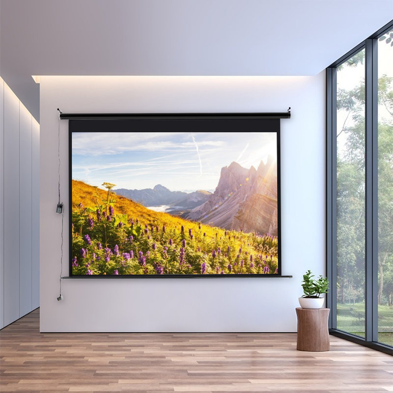 Inbox Zero Outdoor Electric Projector Screen Projector Screen, 183cm H x 269cm W x 0.38cm D