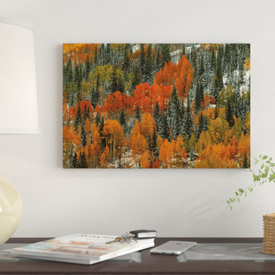 " Orange Fire " by Bill Sherrell