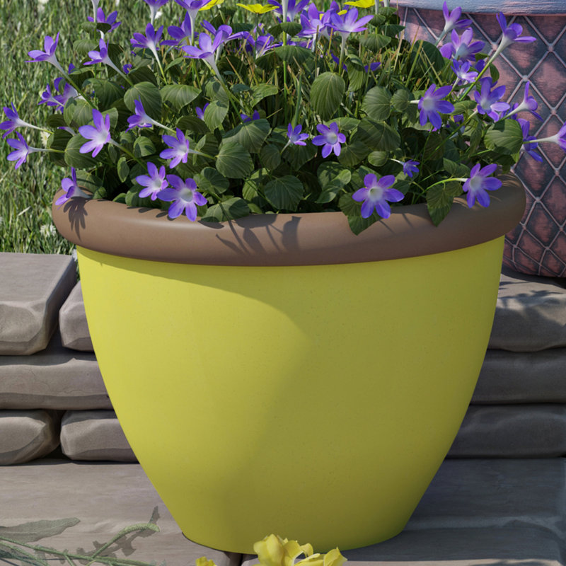 Campuzano Pot Planter, 35cm H x 40cm W x 40cm D, Apple Green