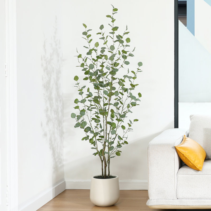 Eucalyptus artificiel Adalia en pot blanc, H 72 po x l 24 po x P 24 po