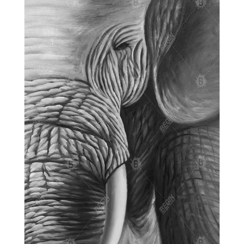 " Elephant "