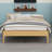 Contemporary Platform Bed Frame with Integrated Slat Support and Metal Reinforcement, Quick and Tool-Free Assembly-1605588321