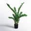 33'' Faux Plant in Pot