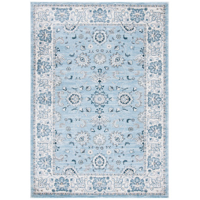 Delmer Performance Oriental Rug