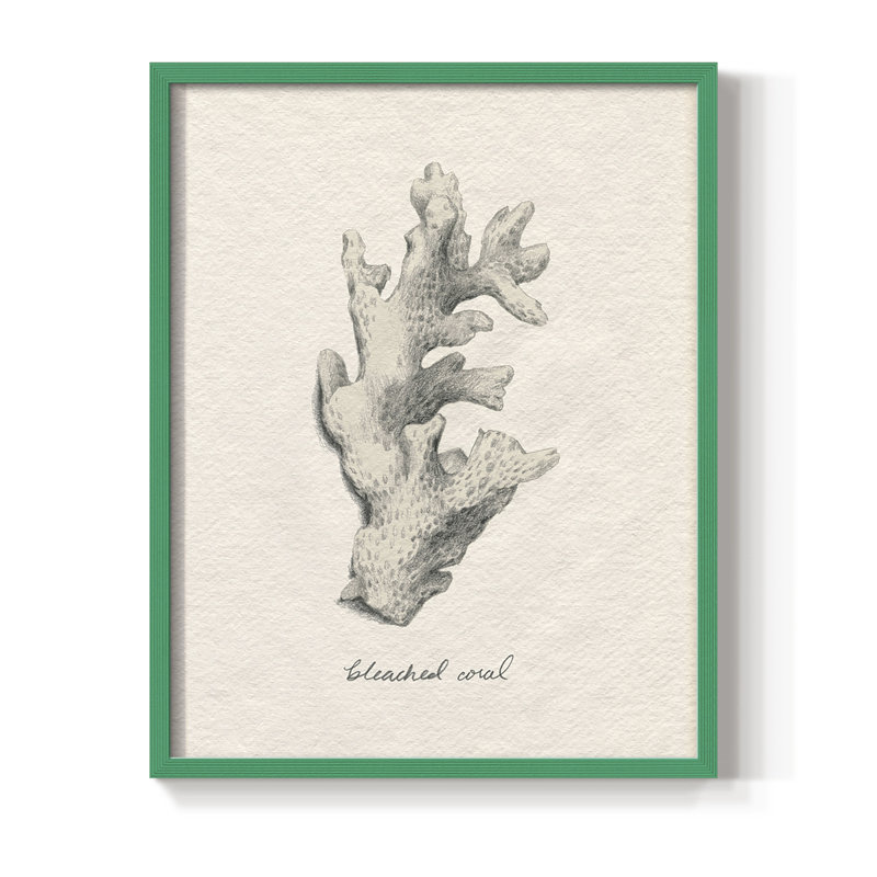 Shore Treasure Study II, reproduction encadrée - bois massif, Vert, H 10 po x l 8 po
