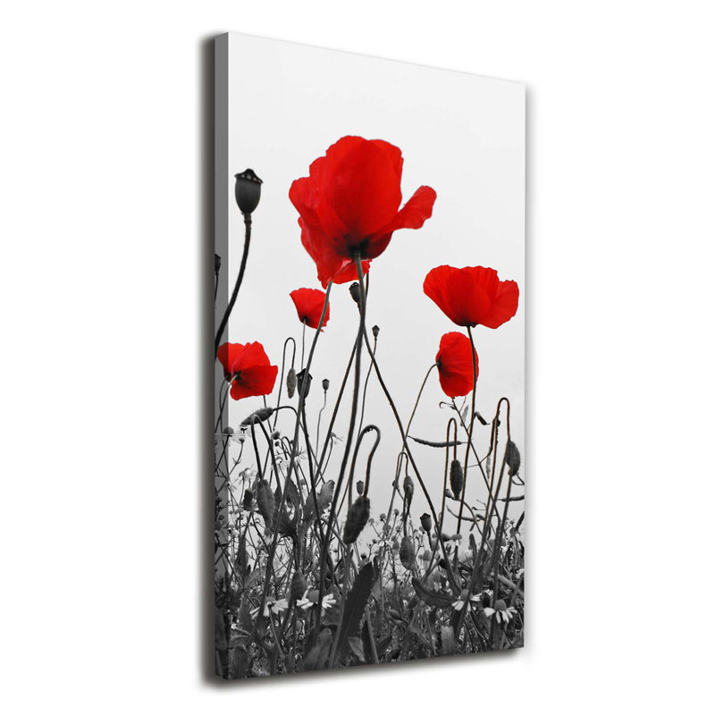 Field Poppies - Wrapped Canvas Print