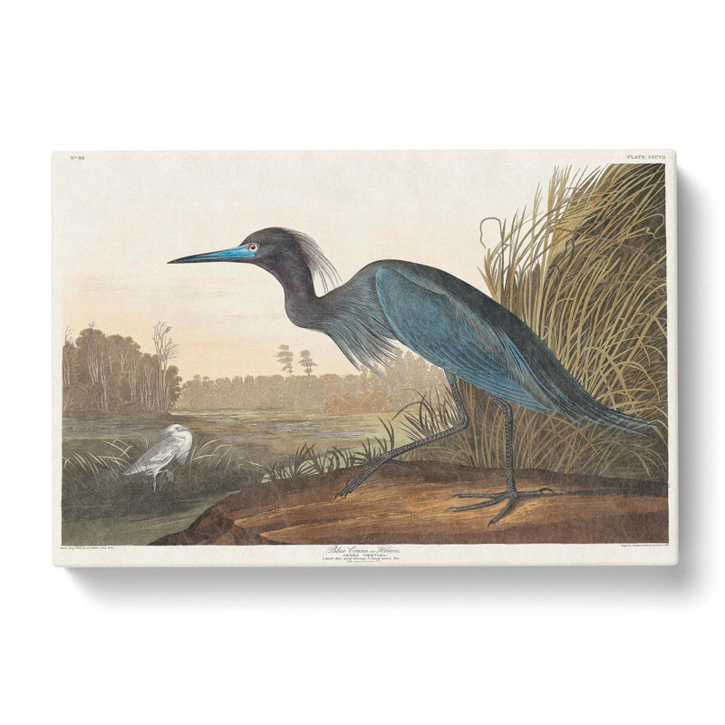 Blue Heron - Wrapped Canvas Painting, 50cm H x 76cm W x 3cm D