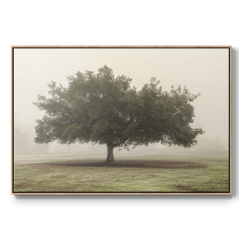 Arbres dans le brouillard II, Toile avec cadre en bois naturel, H 27 po x l 41 po x P 2 po