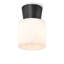 Hazel 1 - Light Flush Mount-1455892519