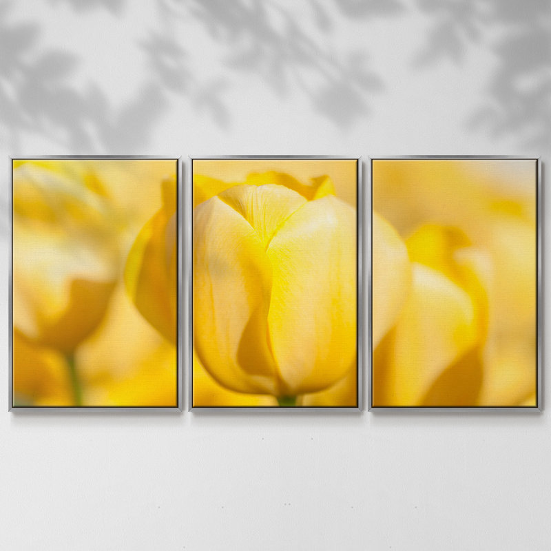 Sunshine Yellow II, reproduction sur toile 3 pièces, H 40 po x l 78 po, Encadrement argenté
