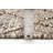Delayza Performance Hand Braided Wool Rug