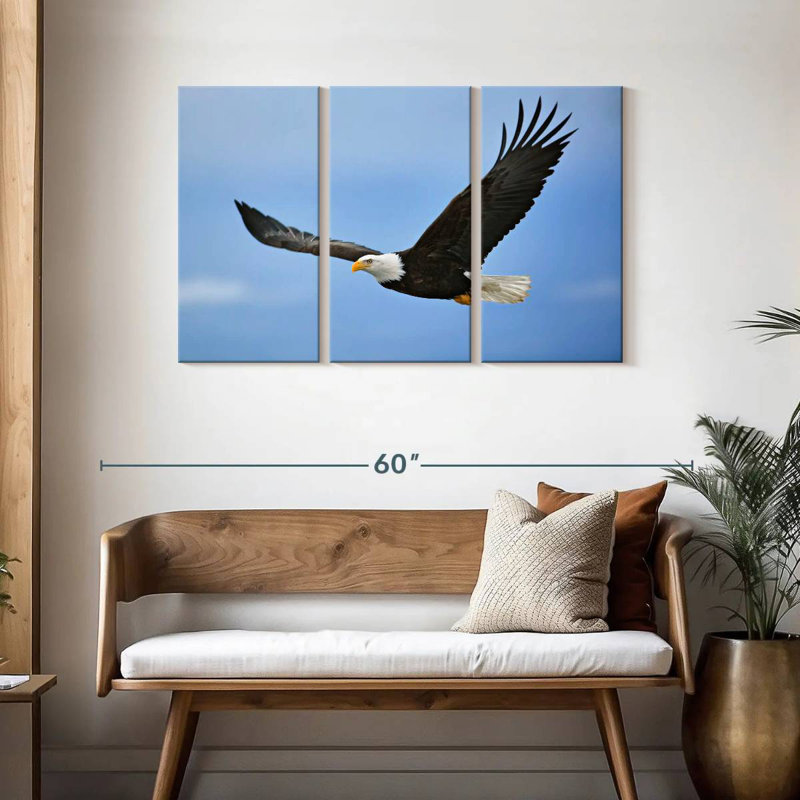 Gliding Bald Eagle, 28" H x 45" W