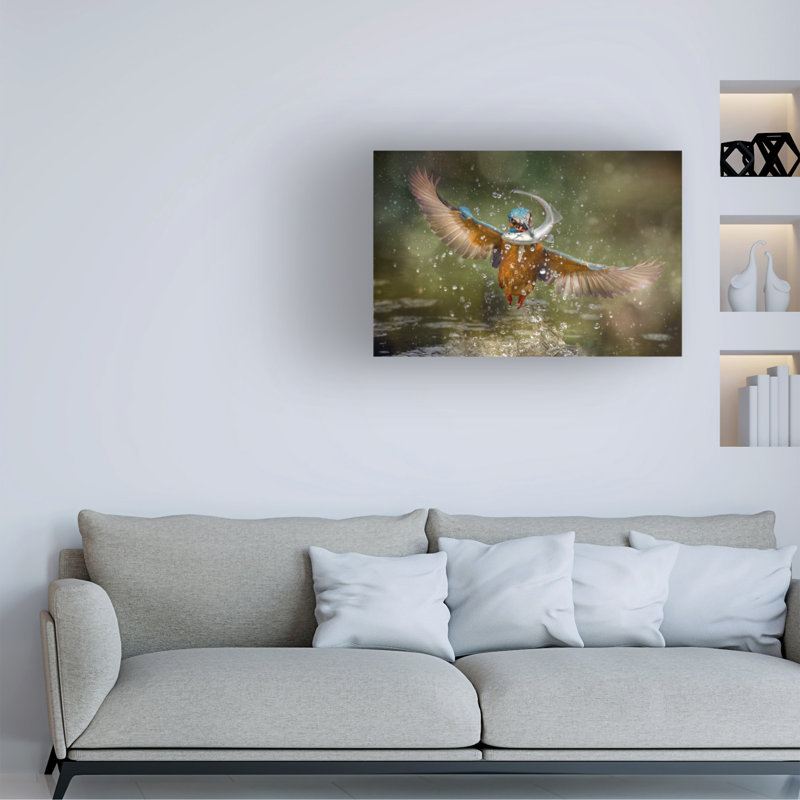 Bolog Alberto Ghizzi Panizza Kingfisher Canvas Art, 16" H x 24" W
