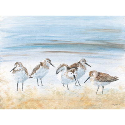 Sandpipers on the Shore