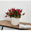 Finnlie Handmade Pot Planter-851669767-851669764