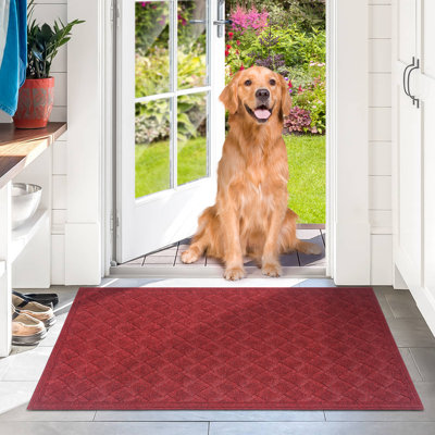 Tapis d'entrée antidérapant Ebern Designs
