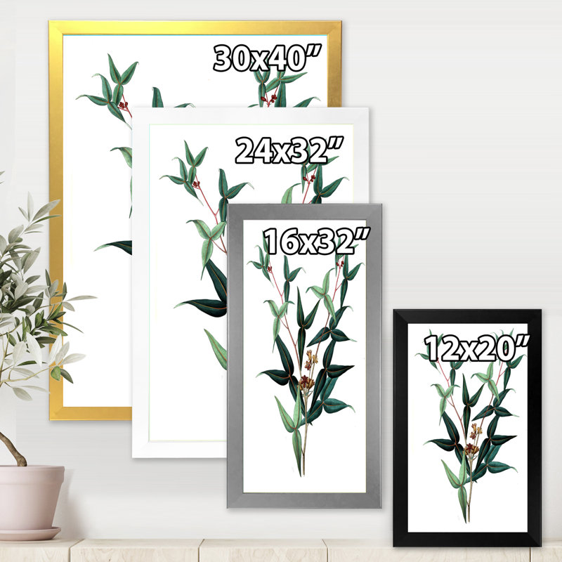 Feuilles de plantes - reproduction d'art sur toile, H 32 po x l 24 po x P 1 po, Noir