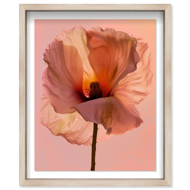 Amber Radiance I Shadowbox Floral & Botanical Print by Oliver Gal, Black Frame, 16 x 20, 21.5"H x 25.5"W