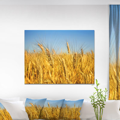 " Bright Golden Wheat Field "
