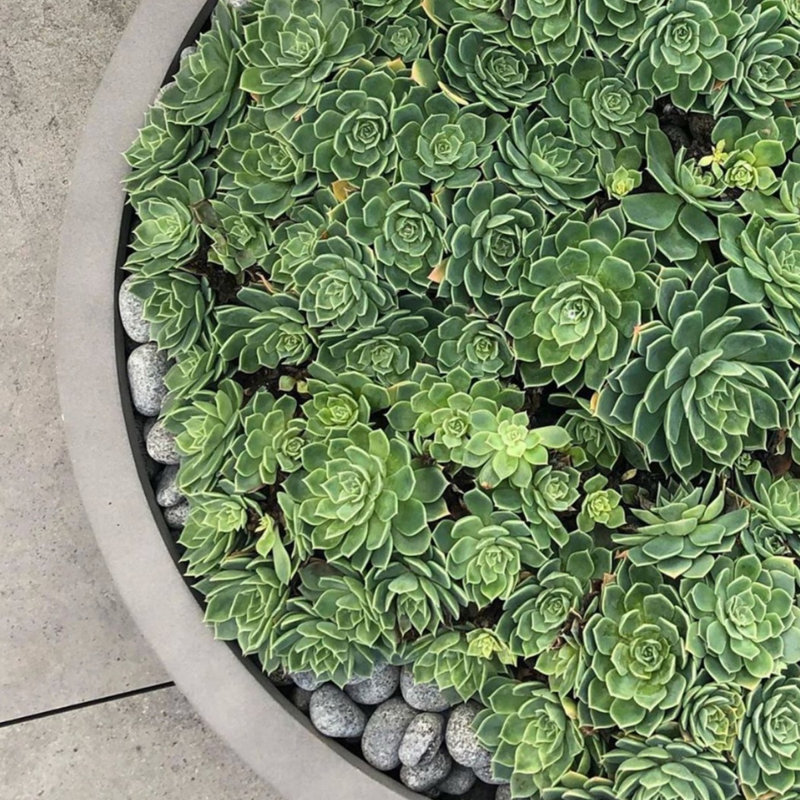 Aquita Handmade Pot Planter, 8" H x 24" W x 24" D, Light Gray