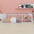 Floor Bed Frame With Fence And Door-1507780744