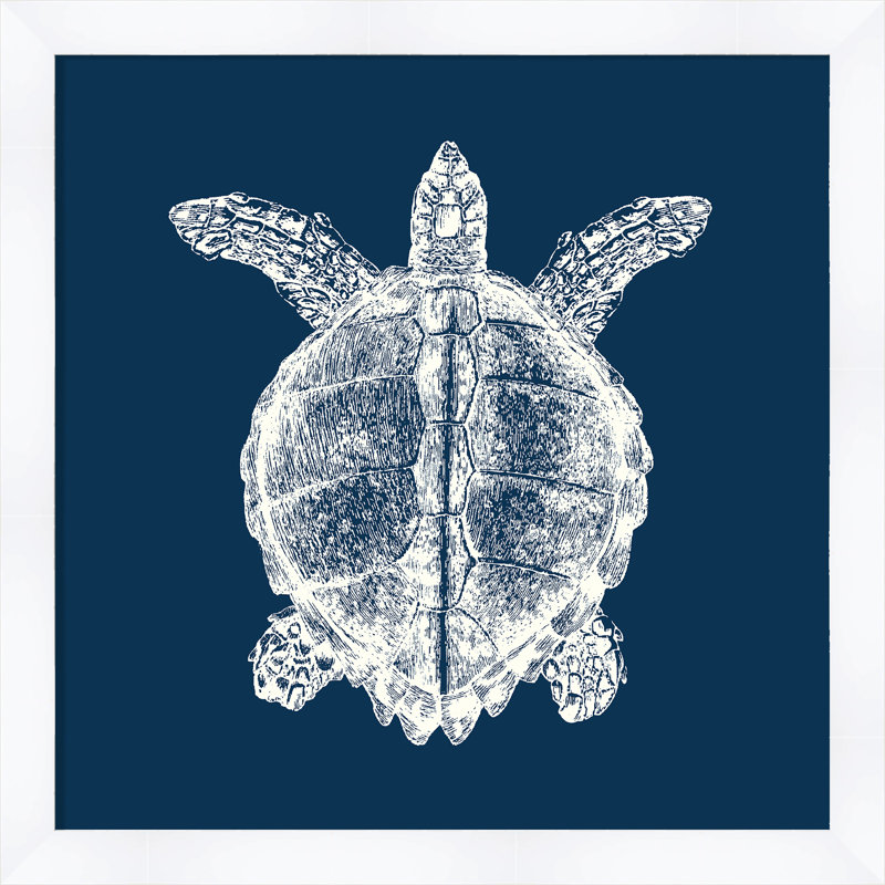 " Turtle In Blue Reverse "