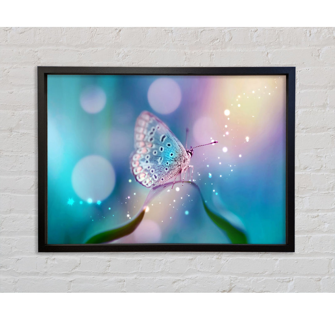 Butterfly Sparkle - Bilderrahmen Kunstdrucke auf Leinwand