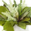 Mixed Green And White Heather Holiday Arrangement
